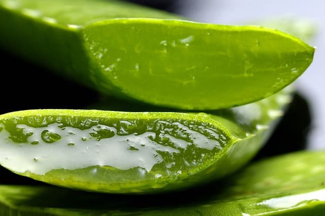 Aloe vera juice for natural hair