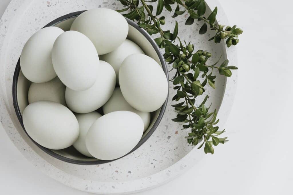 Eggs for a protein treatment