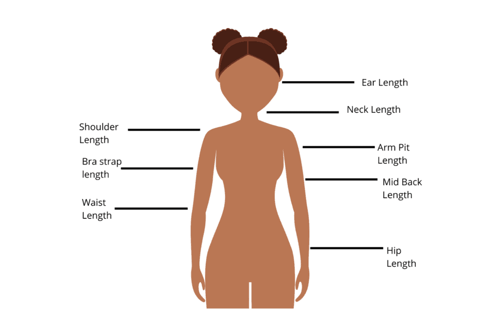 Hair Growth Chart